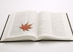 胜之道！球队在比赛中展现团结合作力量