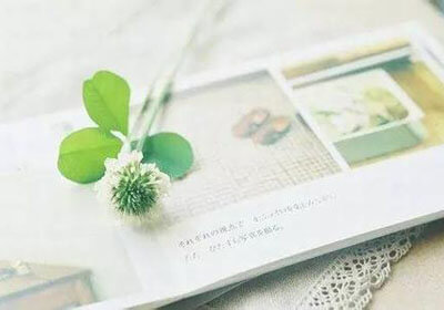 阿森纳主场小胜布莱顿，稳固英超前四位置