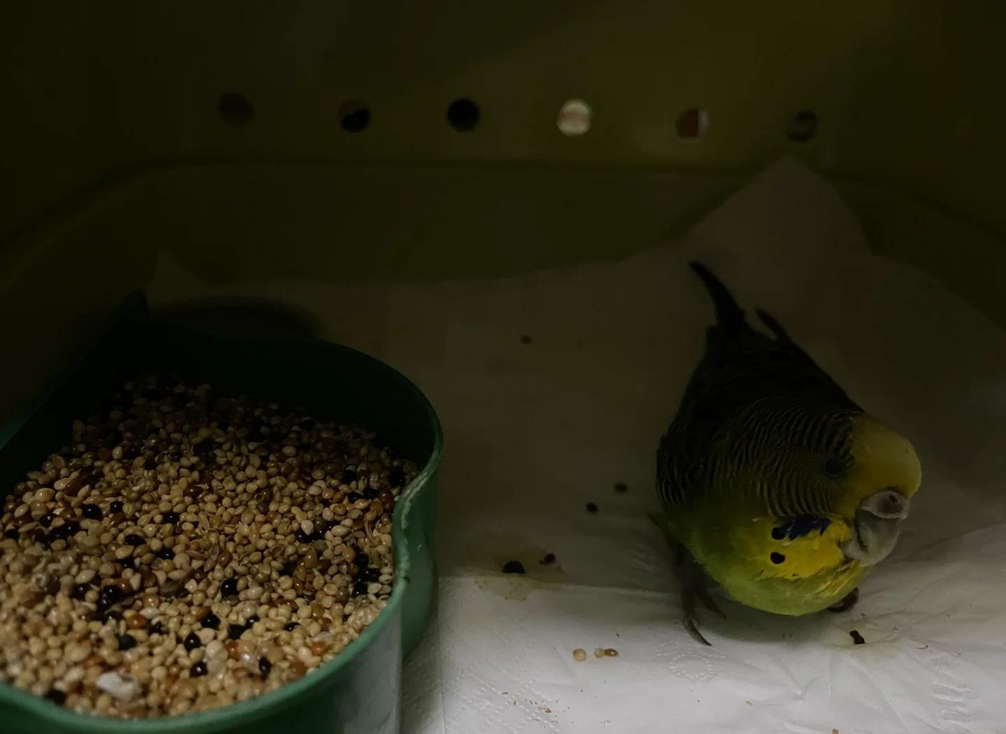 关于柏林赫塔队连续两轮不胜,危机加剧的信息 关于柏林赫塔队连续两轮不胜,危机加剧的信息