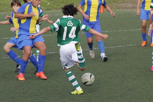 爱游戏官网-帕尔梅拉斯主场优势明显，球迷期待逆转奇迹